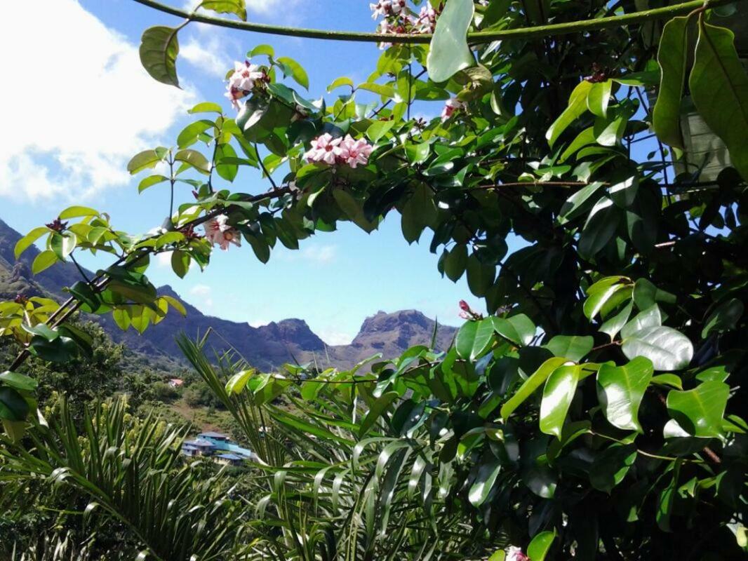 Fare Manutea Hotel Nuku Hiva Buitenkant foto